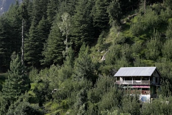 A small house with a metal roof is nestled among lush, densely packed trees on a forested hillside. The house has a balcony and is surrounded by vibrant greenery, with tall evergreen trees dominating the landscape.