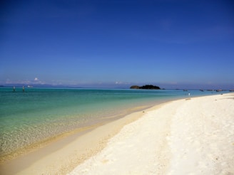 A serene beach view with palm trees and clear blue skies, ideal for a vacation.