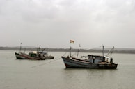 Several fishing boats are anchored in a calm body of water. The boats have flags attached and appear to be weathered, suggesting frequent use. The background shows a distant line of tree-lined shore under an overcast sky, giving the scene a serene and tranquil feeling.