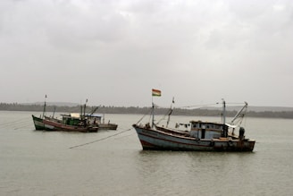 Several fishing boats are anchored in a calm body of water. The boats have flags attached and appear to be weathered, suggesting frequent use. The background shows a distant line of tree-lined shore under an overcast sky, giving the scene a serene and tranquil feeling.