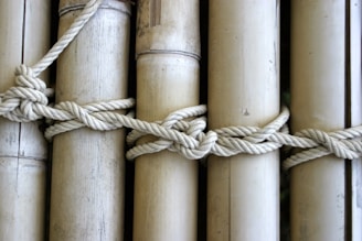 A series of bamboo poles are tied together with a thick, knotted rope. The bamboo is smooth and light-colored, with visible natural texture and markings. The rope appears strong and woven tightly around the poles, emphasizing the craftsmanship of the knot.