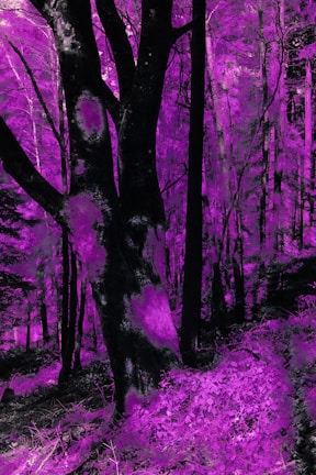 A calming forest scene from a modified indie game with soft purple hues.