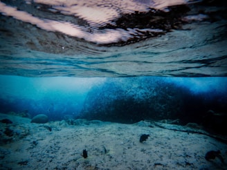 An underwater view with clear blue water, featuring a rocky ocean floor. The surface of the water creates a wavy reflection above, and a gentle gradient from light to darker blue indicates varying depths. Some small marine life is visible near the bottom.