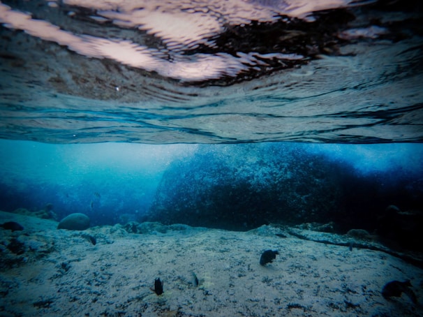 An underwater view with clear blue water, featuring a rocky ocean floor. The surface of the water creates a wavy reflection above, and a gentle gradient from light to darker blue indicates varying depths. Some small marine life is visible near the bottom.