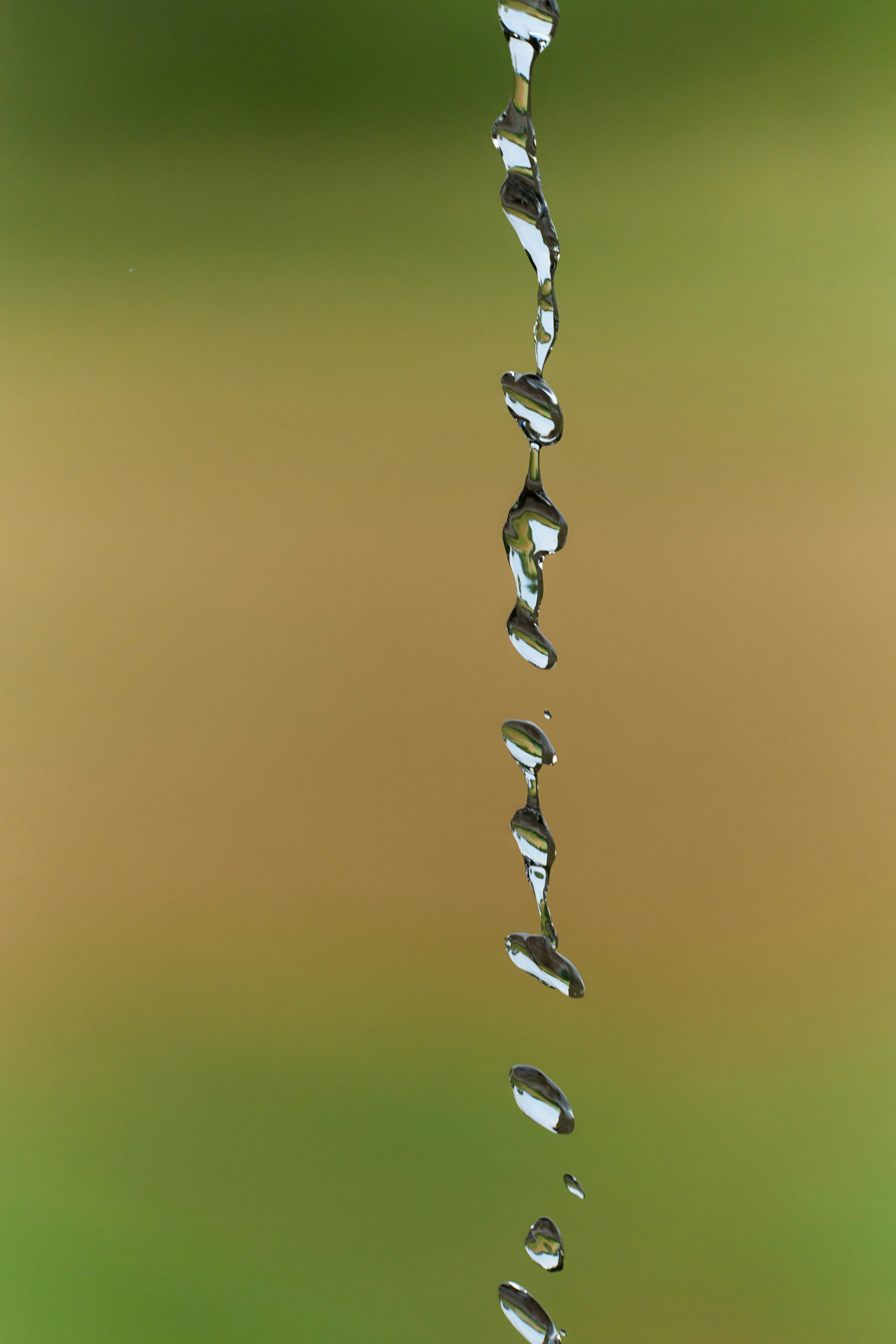 Photo by wolfgang_hasselmann