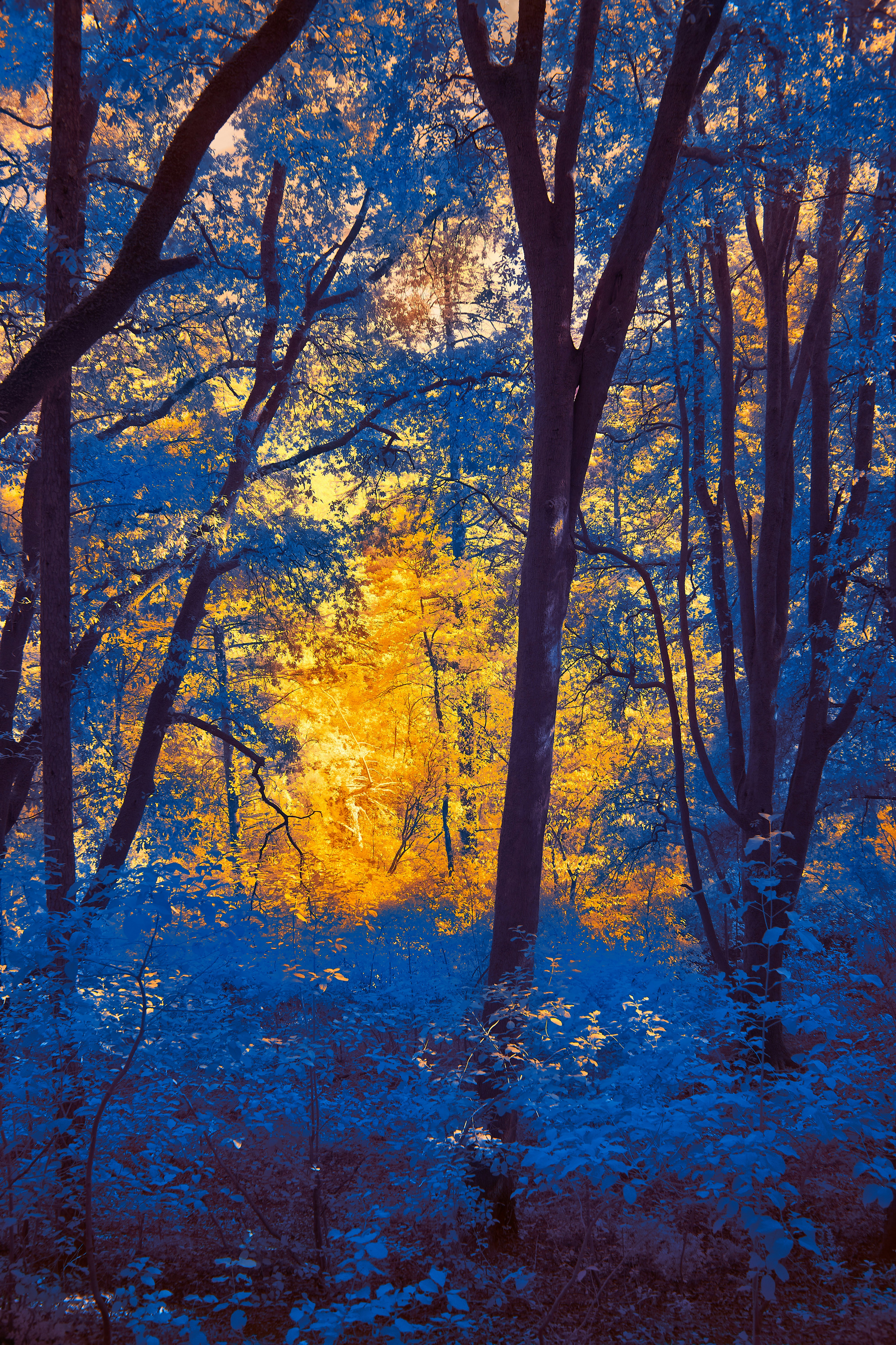 Photo by wolfgang_hasselmann