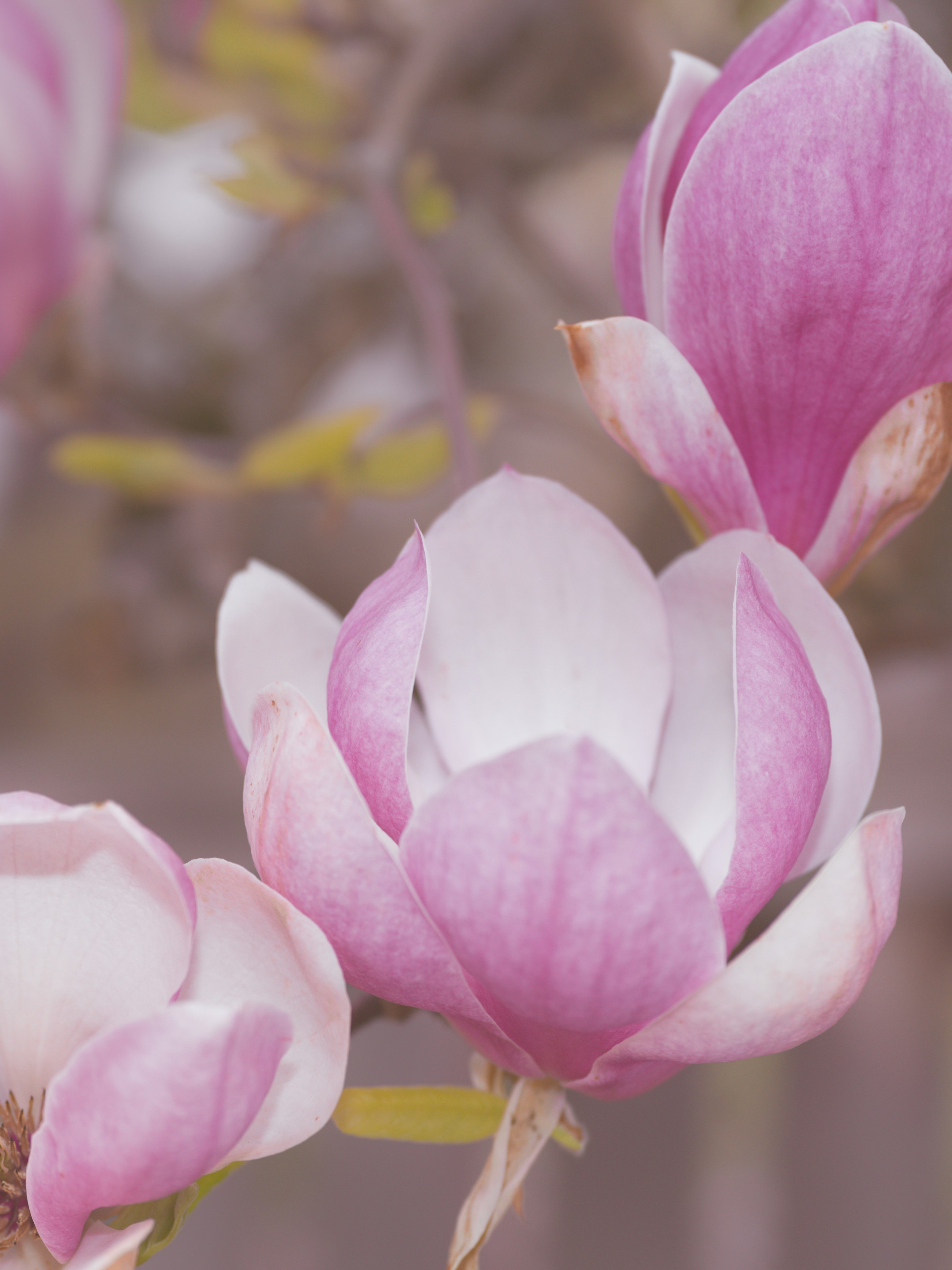 Photo by kierinsightarchives