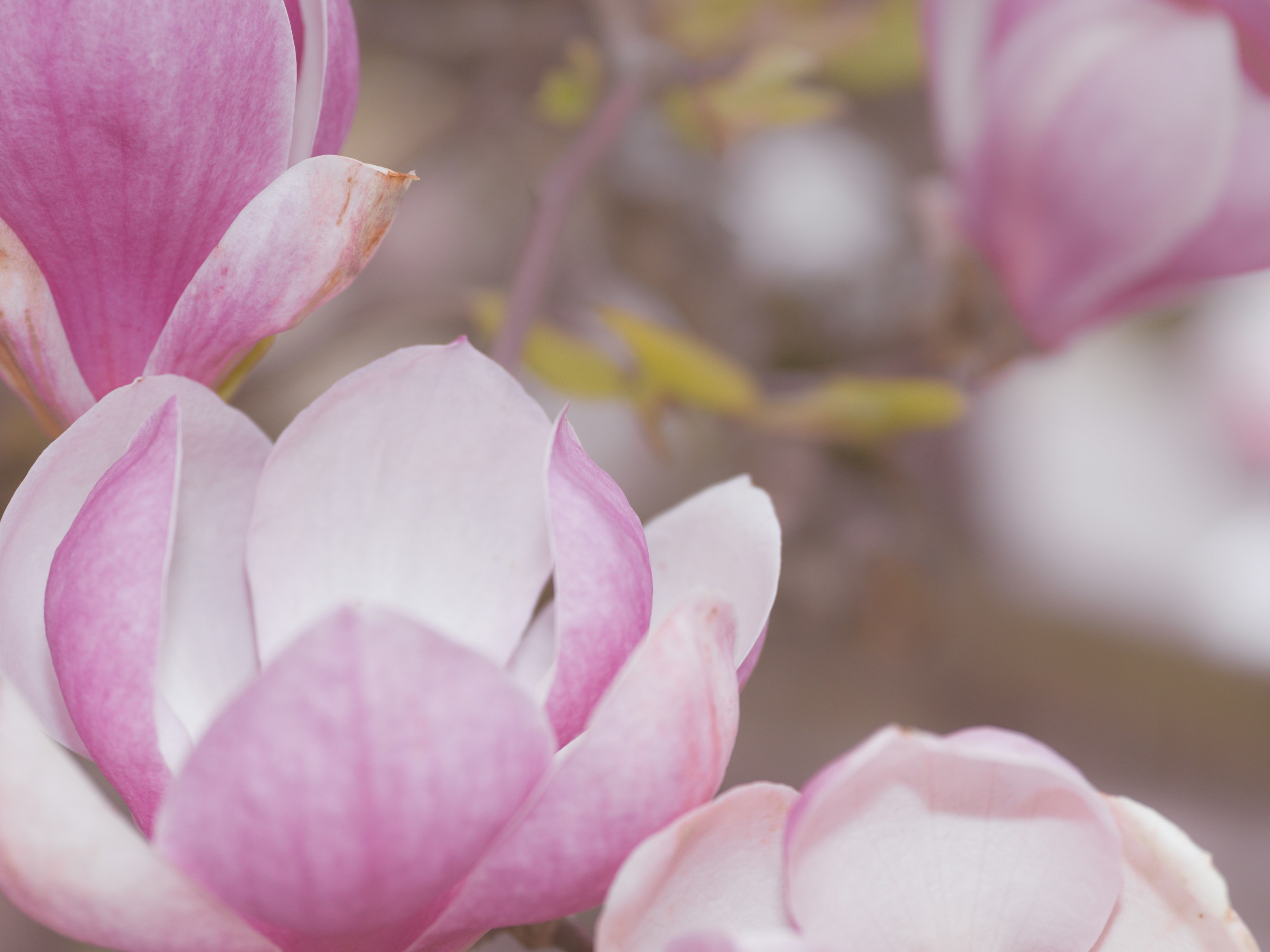 Photo by kierinsightarchives