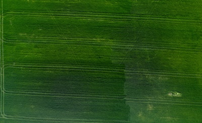 An aerial view of a lush green agricultural field.