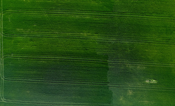 Aerial view of a vibrant agricultural landscape with crops.