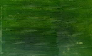 A vibrant aerial photo of expansive farmland showing healthy crops and irrigation patterns.