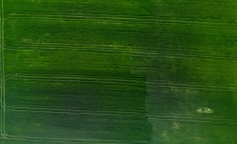 An aerial view of a vast agricultural field with several straight lines indicating rows of crops and possibly vehicle tracks. The greenery is lush and vibrant, creating a textured pattern across the landscape.
