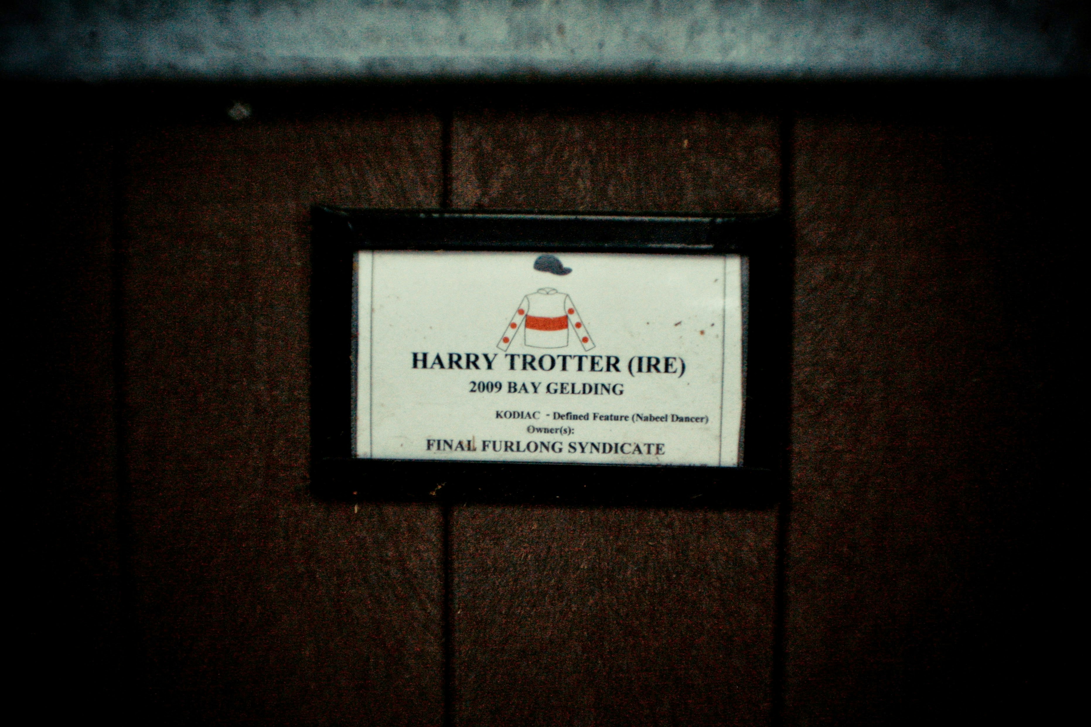 Happy Birthday Harry Brook — Fans' Heartfelt Wishes