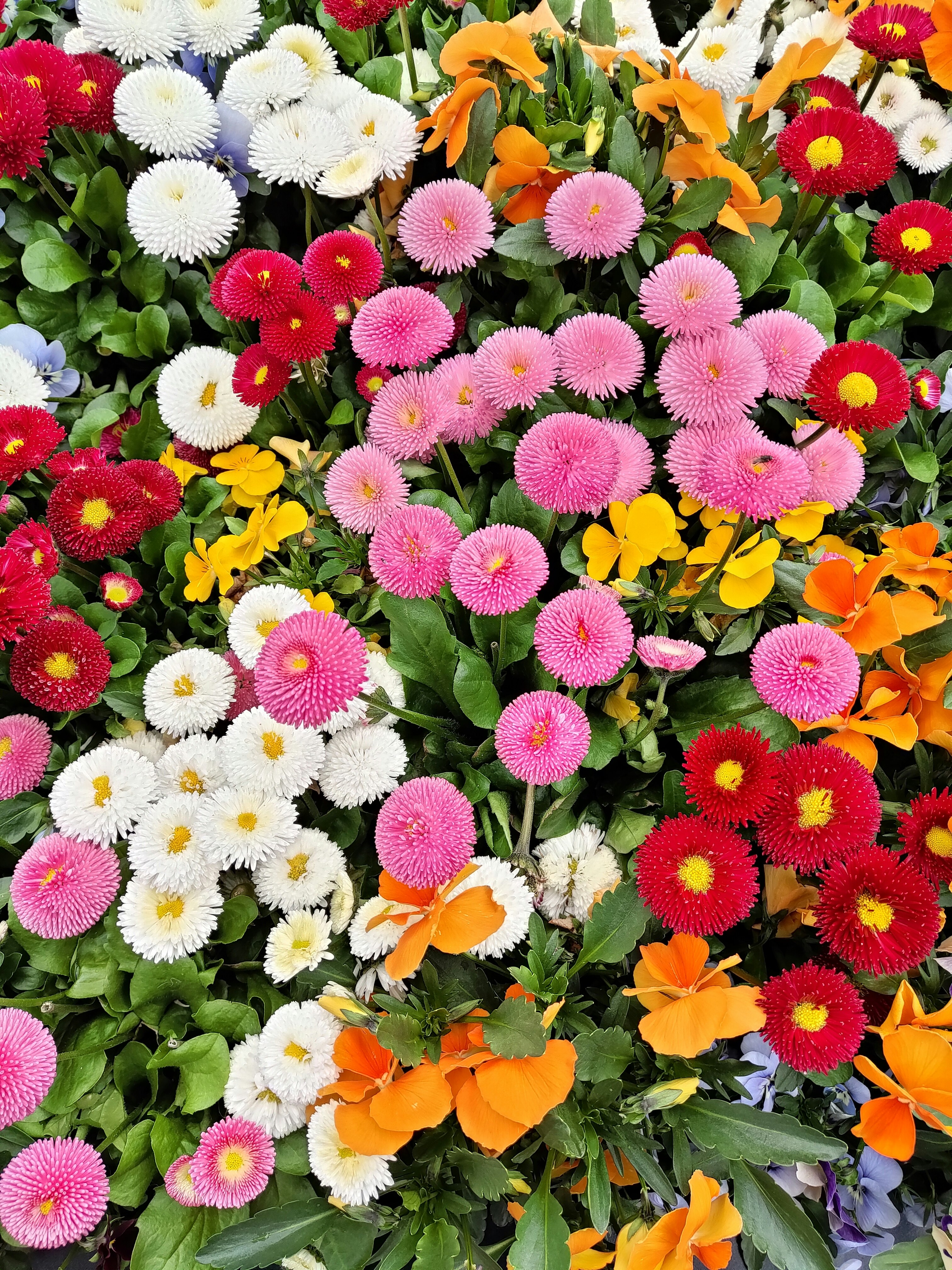 Photo by lidianemiroff