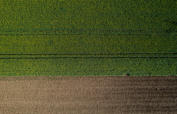 An aerial view of a neatly divided landscape with a large section of lush green fields occupying the upper portion, marked by faint, parallel tracks likely from agricultural machinery. Below, a smaller area of brown, tilled soil is visible, indicating a transition between cultivated and uncultivated land.