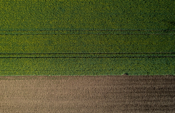 An aerial view of a neatly divided landscape with a large section of lush green fields occupying the upper portion, marked by faint, parallel tracks likely from agricultural machinery. Below, a smaller area of brown, tilled soil is visible, indicating a transition between cultivated and uncultivated land.