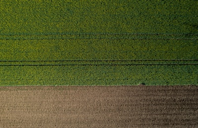 An aerial view of a neatly divided landscape with a large section of lush green fields occupying the upper portion, marked by faint, parallel tracks likely from agricultural machinery. Below, a smaller area of brown, tilled soil is visible, indicating a transition between cultivated and uncultivated land.