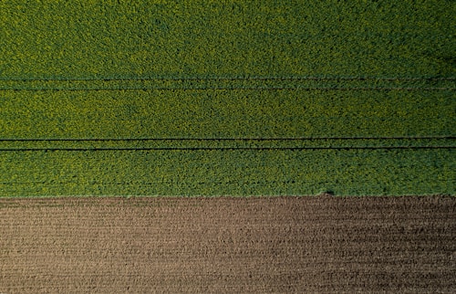 An aerial view of a neatly divided landscape with a large section of lush green fields occupying the upper portion, marked by faint, parallel tracks likely from agricultural machinery. Below, a smaller area of brown, tilled soil is visible, indicating a transition between cultivated and uncultivated land.