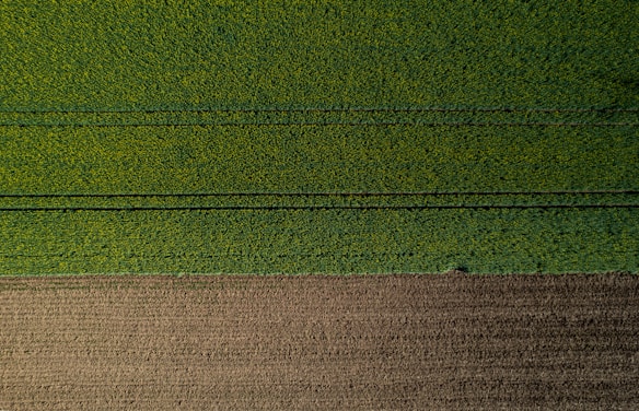 An aerial view of a neatly divided landscape with a large section of lush green fields occupying the upper portion, marked by faint, parallel tracks likely from agricultural machinery. Below, a smaller area of brown, tilled soil is visible, indicating a transition between cultivated and uncultivated land.