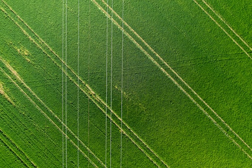 Lines created by agricultural machinery form a pattern across a large, lush green field.