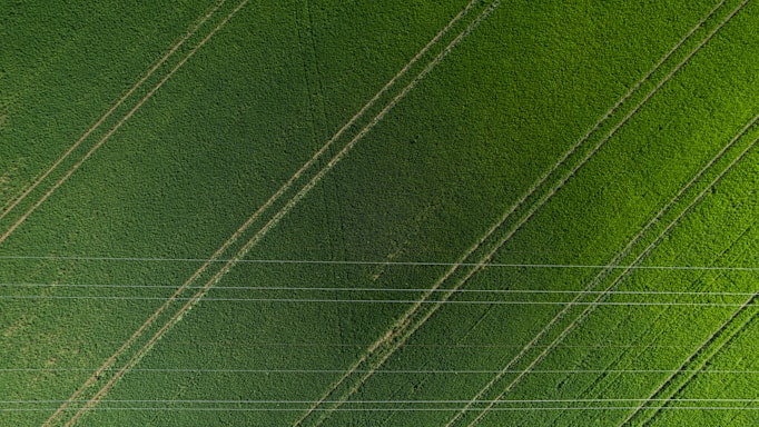 An aerial view of a lush, green field with evenly spaced rows and a few parallel lines resembling tracks or paths. The area is crisscrossed by several thin linear structures that appear to be power lines, creating a geometric pattern over the natural landscape.