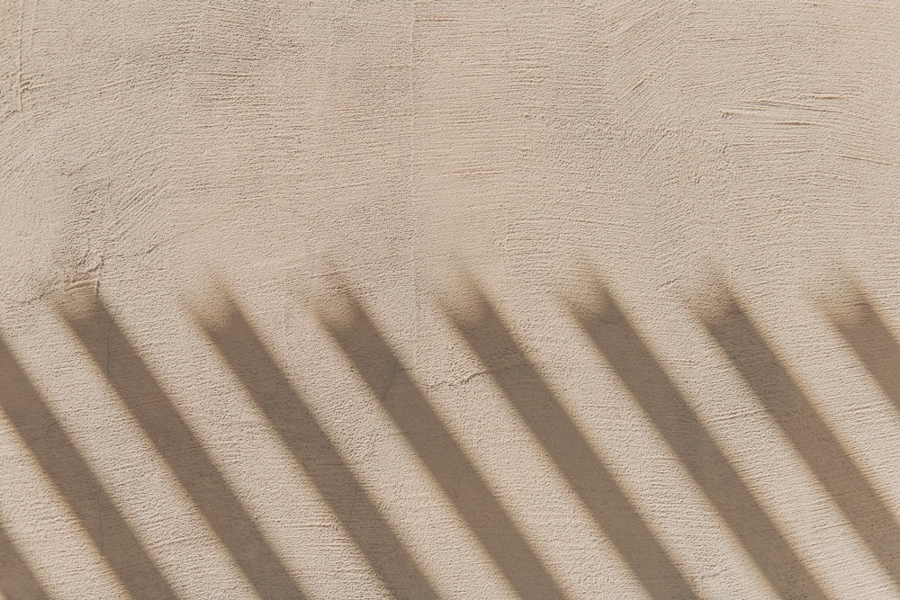 shadows cast on a wall and a bench
