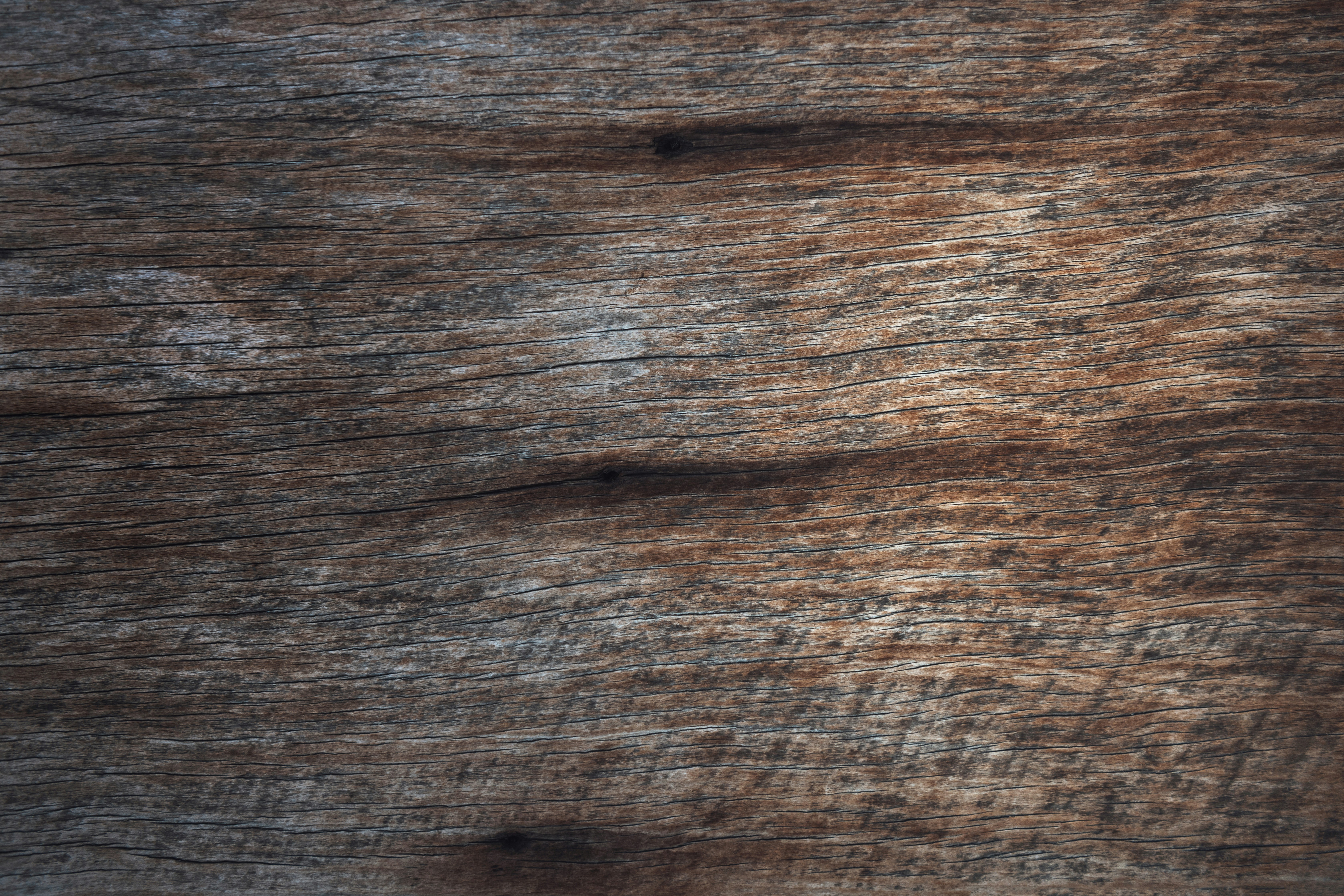 Photo by timmossholder