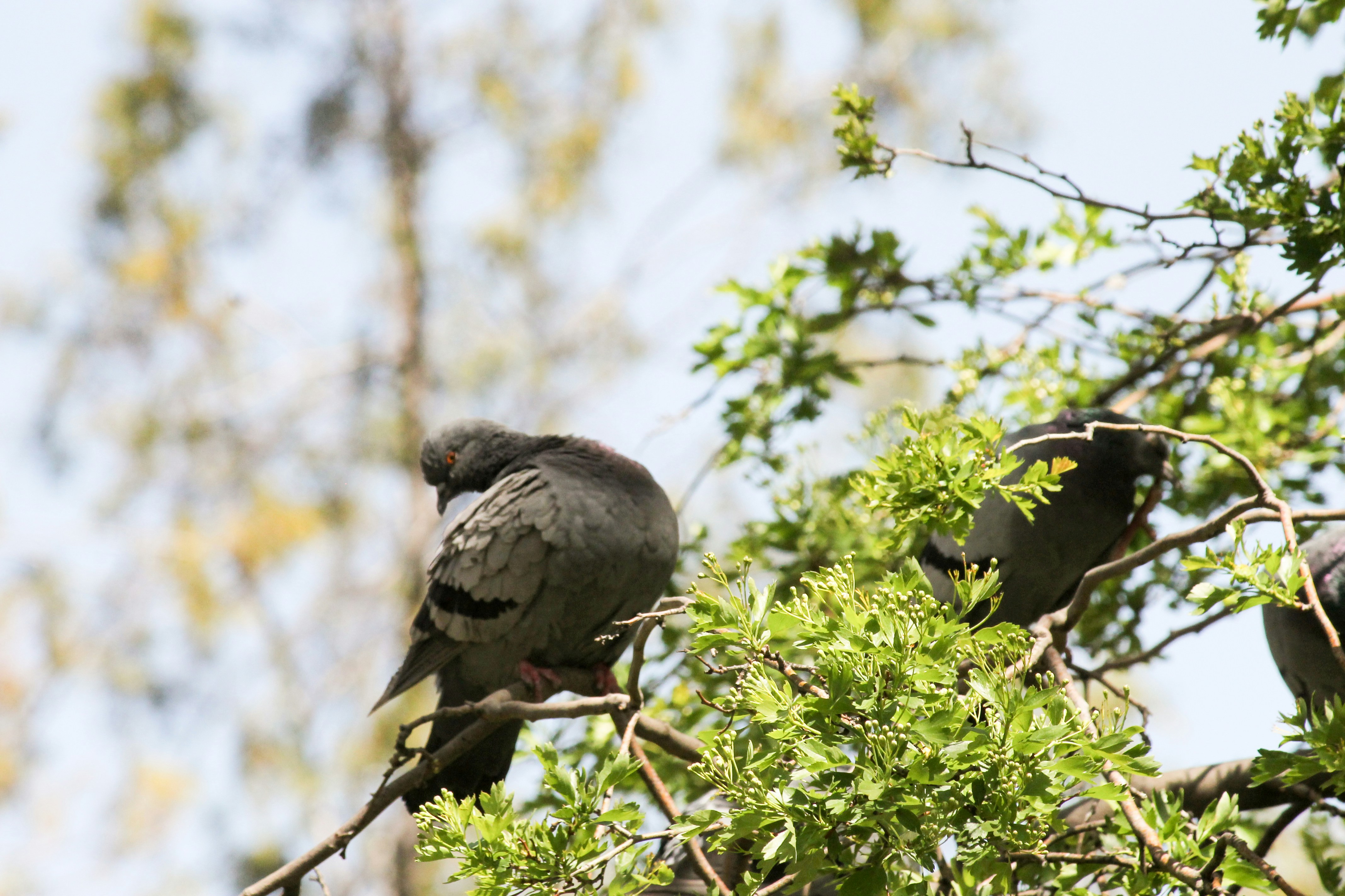 Photo by naghmeh1972