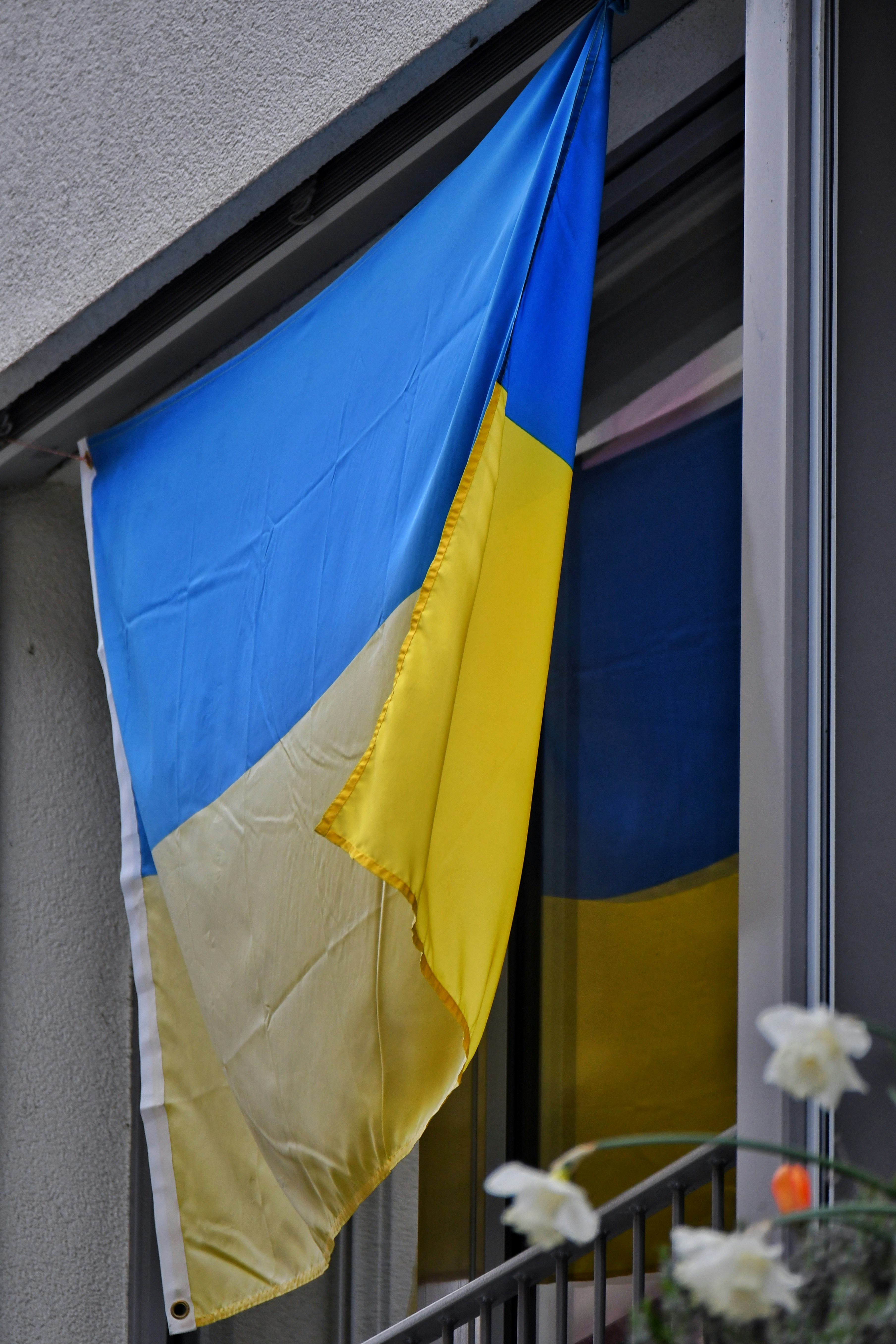 Photo by pedrino5_official