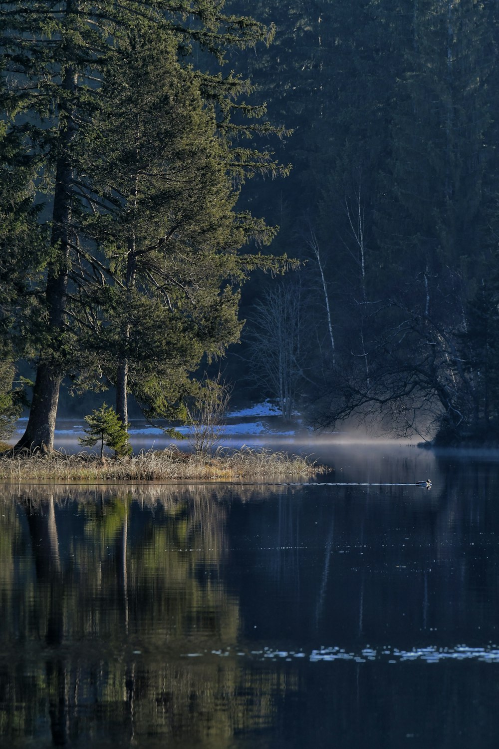 un cuerpo de agua rodeado de árboles y nieve