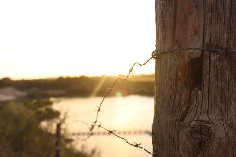 a wooden post with a barbed wire around it