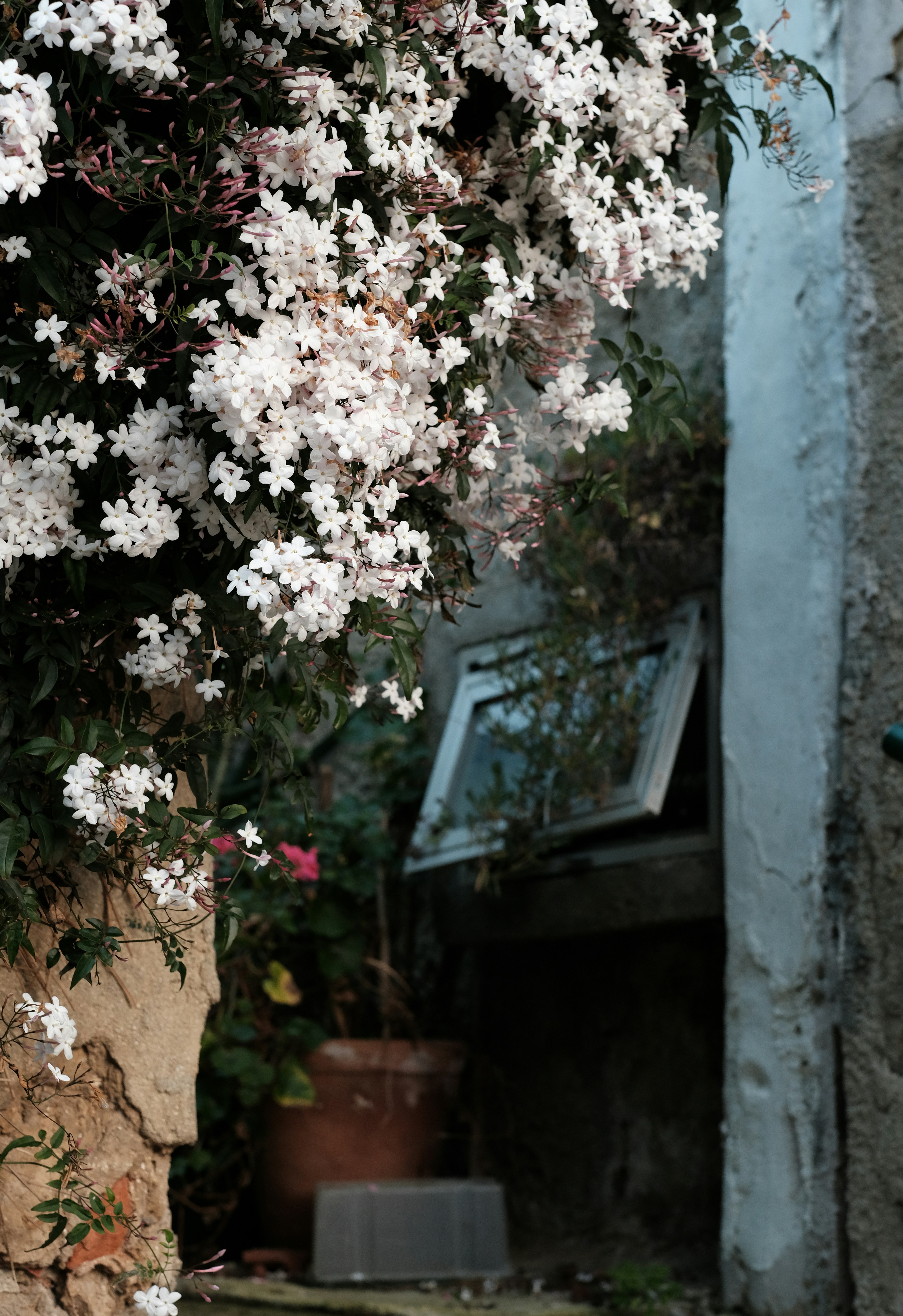 Photo by samueljeronimo