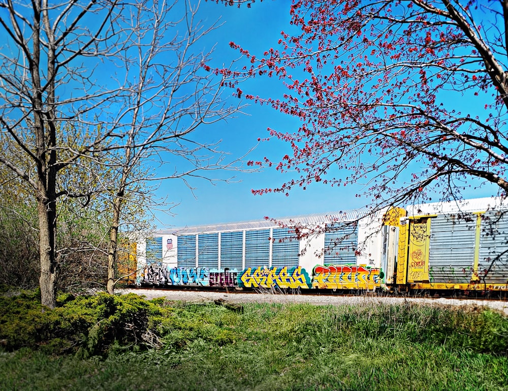 a train with graffiti painted on the side of it