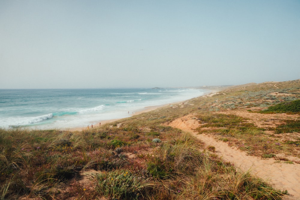 a sandy beach next to the ocean on a sunny day