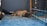 A fluffy brown rabbit is resting on a blue carpet inside a cage. The cage has a black metal frame, and there are toys and a light blue polka dot dish nearby. The setting appears cozy, with soft bedding and muted lighting.