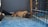 A fluffy brown rabbit is resting on a blue carpet inside a cage. The cage has a black metal frame, and there are toys and a light blue polka dot dish nearby. The setting appears cozy, with soft bedding and muted lighting.