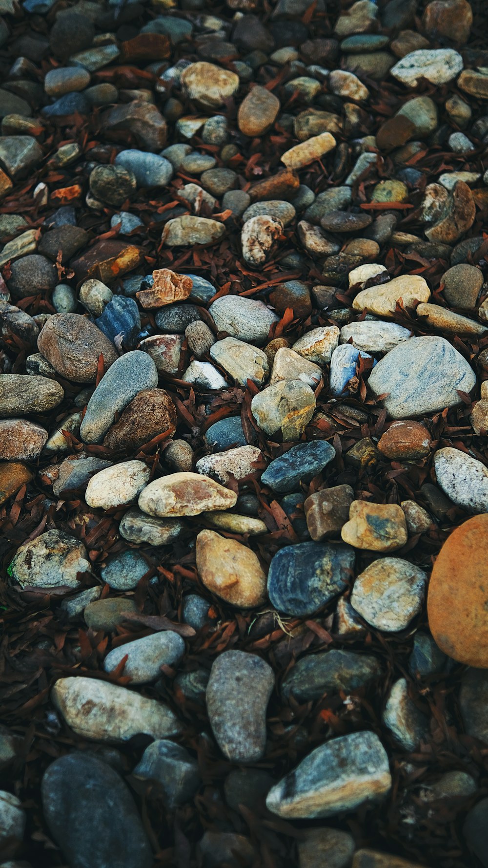 um monte de rochas que estão deitadas no chão