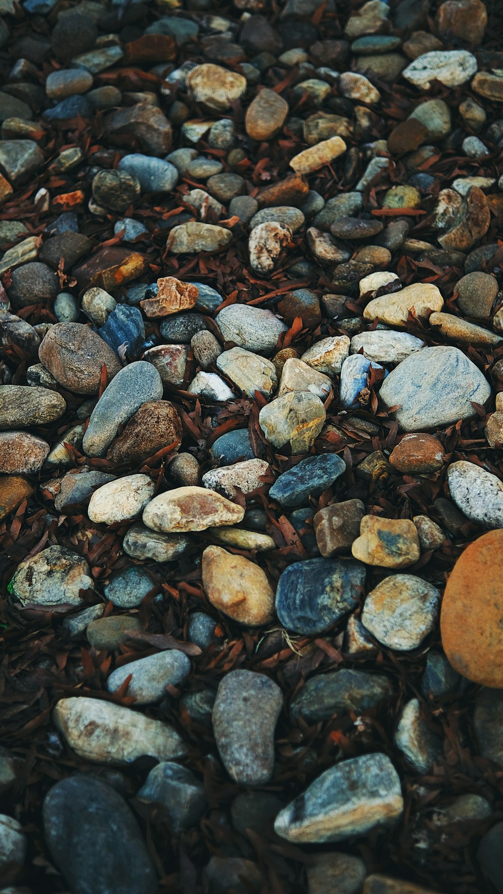 a bunch of rocks that are laying on the ground