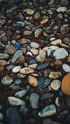 A variety of smooth, rounded stones scattered on the ground, interspersed with dried brown leaves. The stones range in color from shades of gray and blue to beige and brown, creating a natural and earthy texture.
