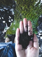 Close-up of hands holding rich soil during an environmental study.