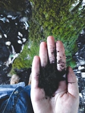 A hand holding dark soil against a background of a mossy green surface and scattered leaves. The hand is partially closed and dusted with soil, conveying a sense of earthiness and connection to nature.