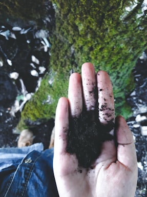 A friendly farmer holding rich, dark soil with green crops in the background.