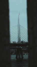 A panoramic view of a cable stayed bridge spanning a river with cables fanning out from tall pylons.
