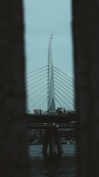 A visual representation of the Whitebridge project concept.