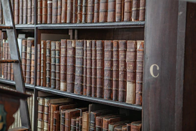 A sleek metal bookshelf filled with classic novels and vintage trinkets.