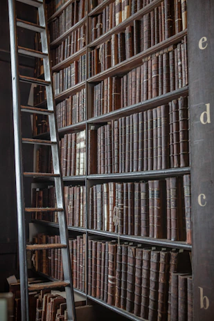 A large wooden bookshelf filled with numerous old, leather-bound books. A sturdy wooden ladder leans against the shelves, providing access to the upper books. The books are organized neatly, and the atmosphere suggests a historical or academic setting. The bookshelf has letters on the side, indicating sections.
