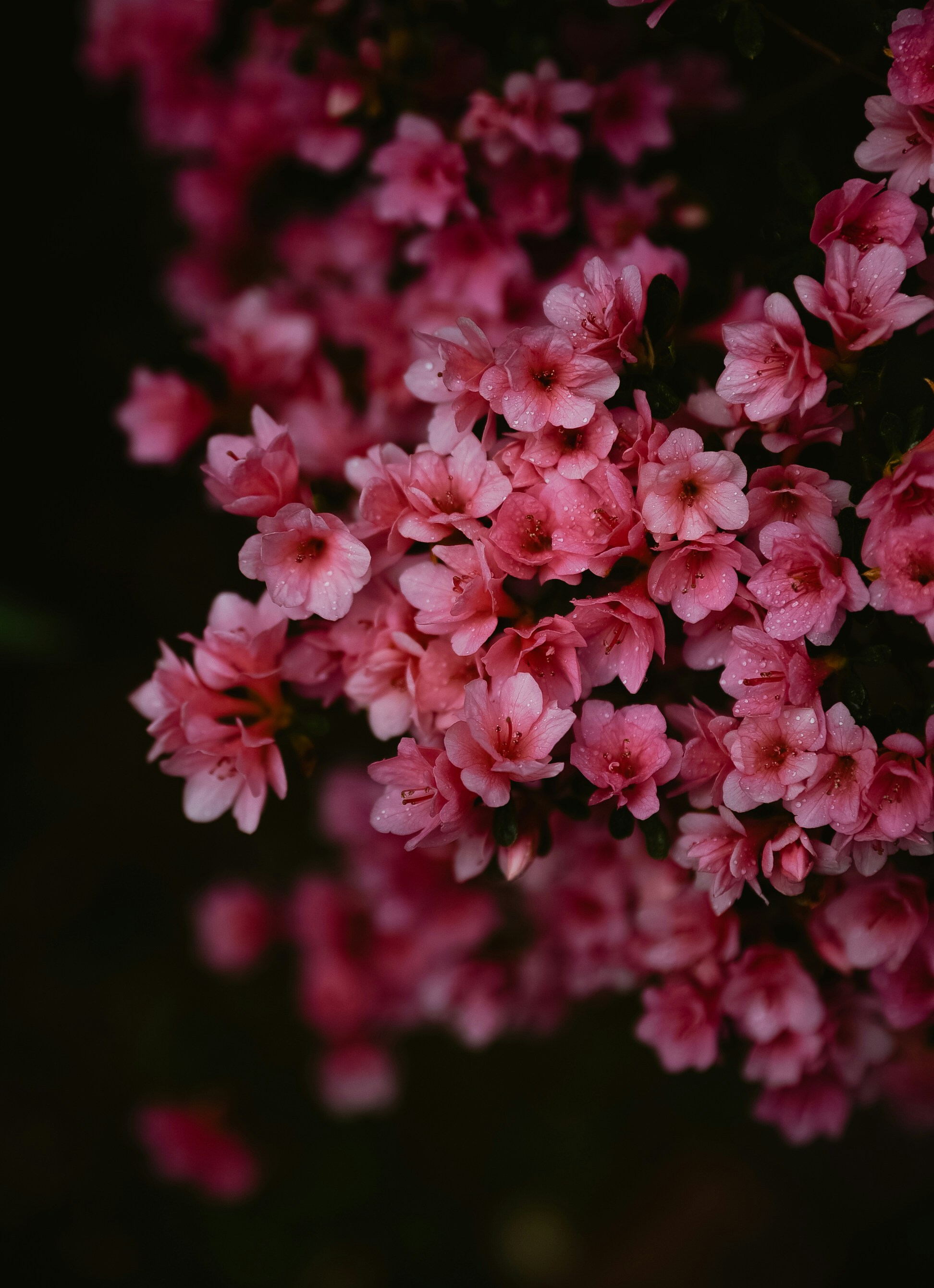 Photo by renatakneedham