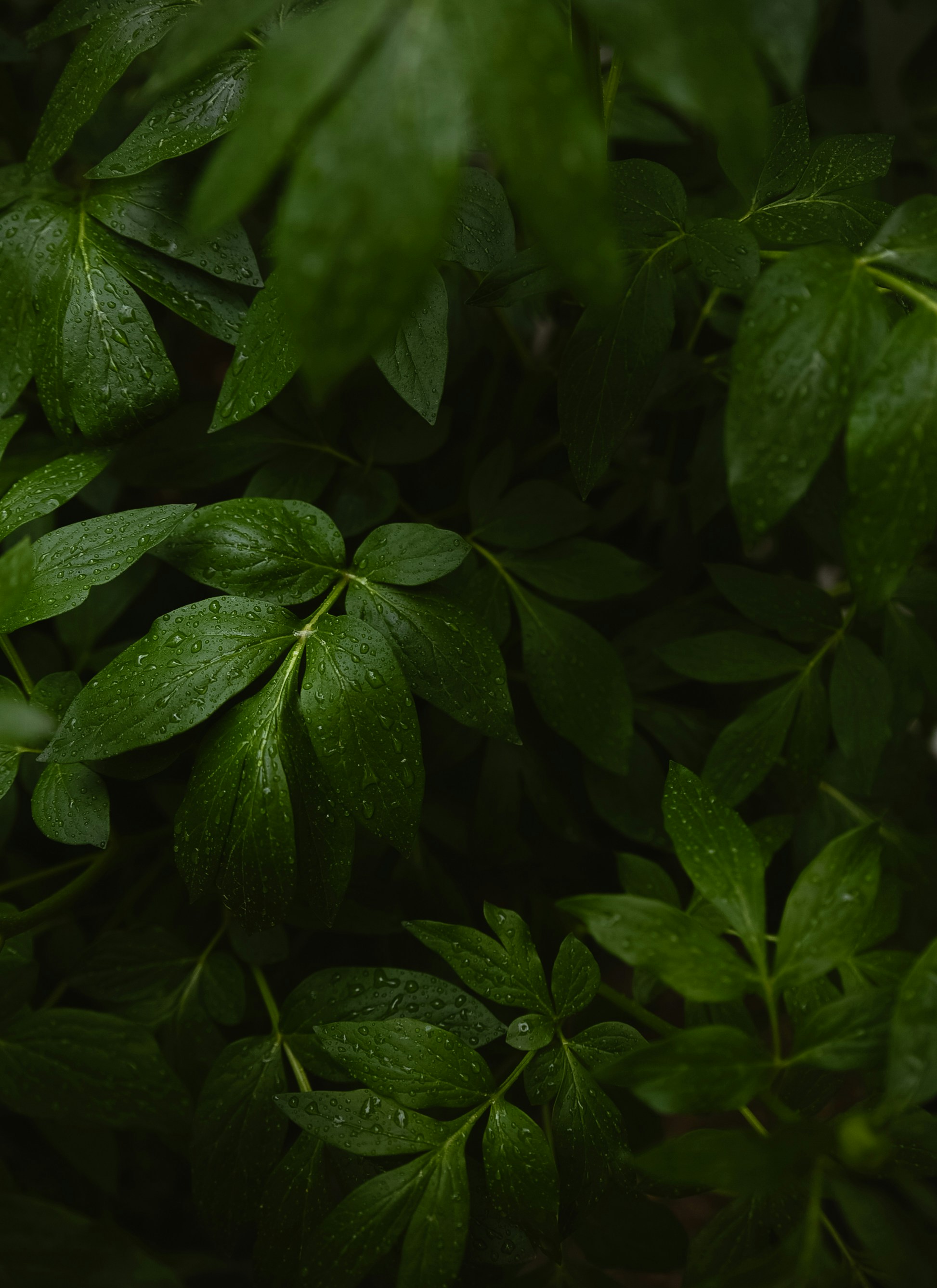 Photo by renatakneedham