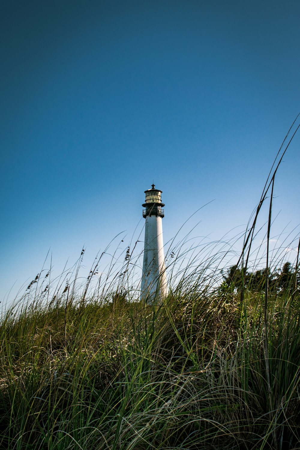 a light house sitting on top of a grass covered hill