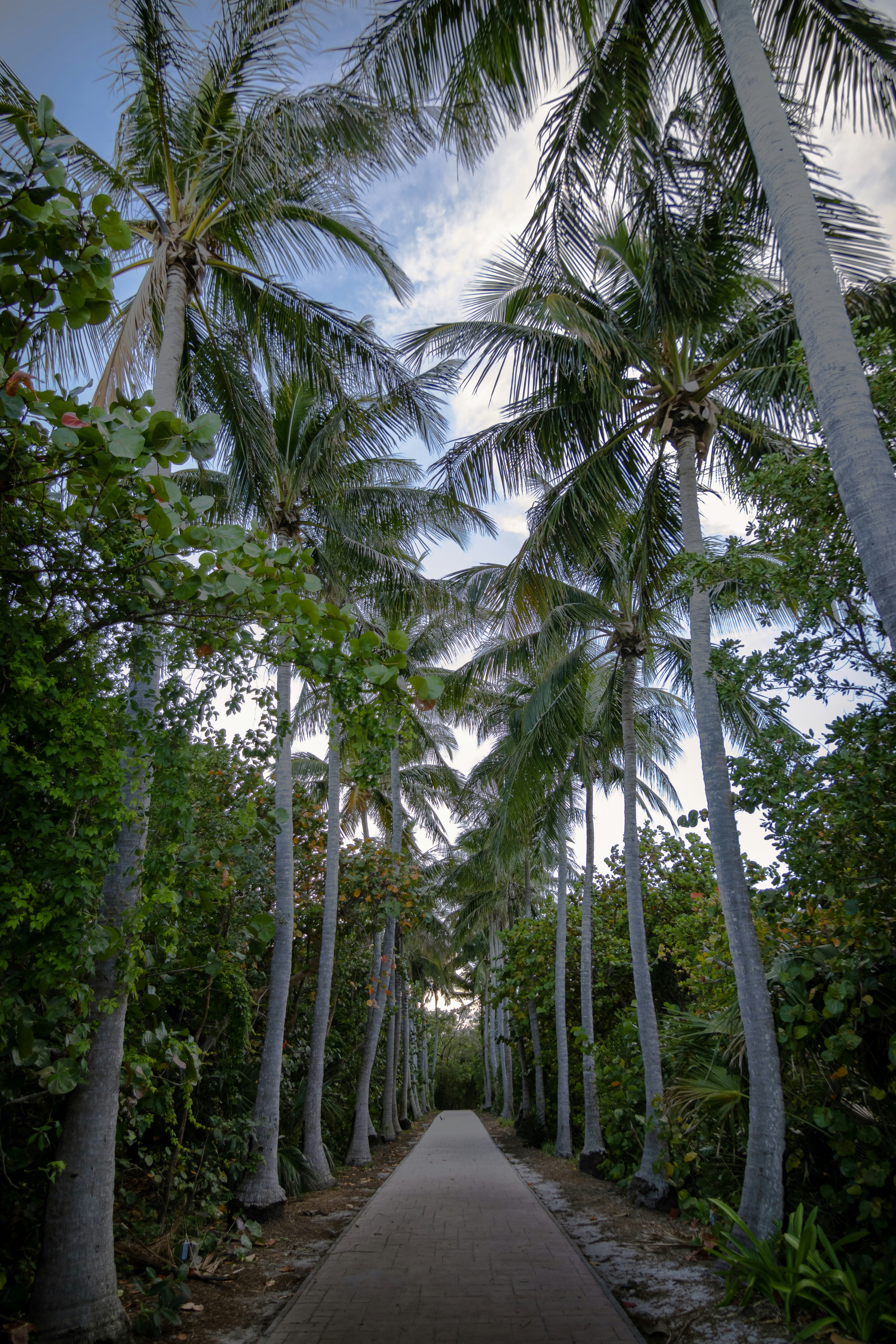 Photo by brice_cooper18